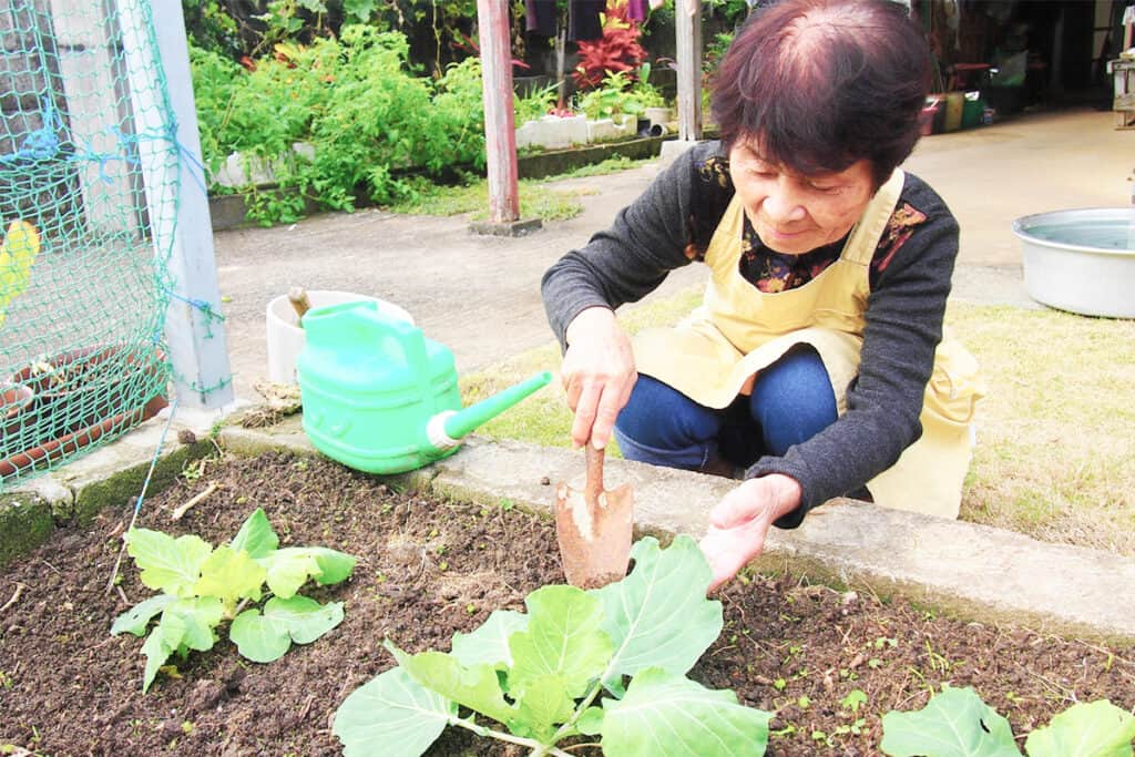 庭の手入れをする高齢女性